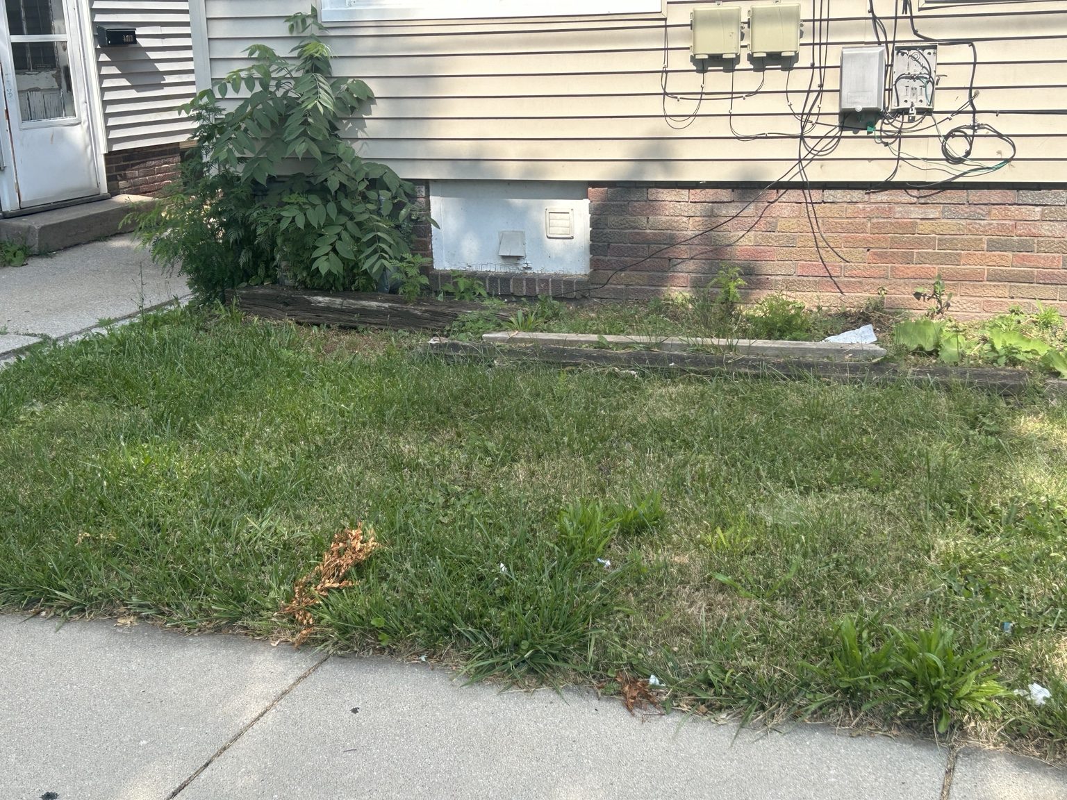 Foundation bed before cleanup